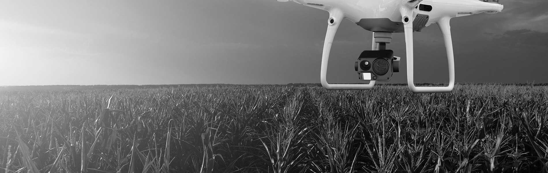 Prestation drone mariage