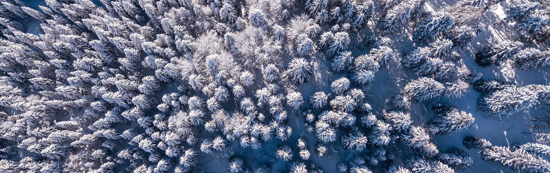 Photos et vidéos mariage par drone