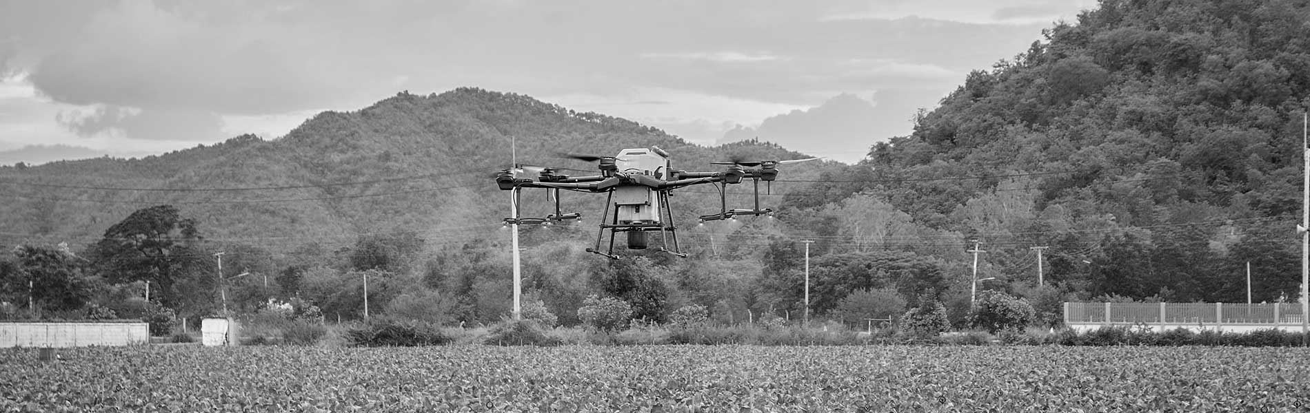 Tarif prestation drone mariage