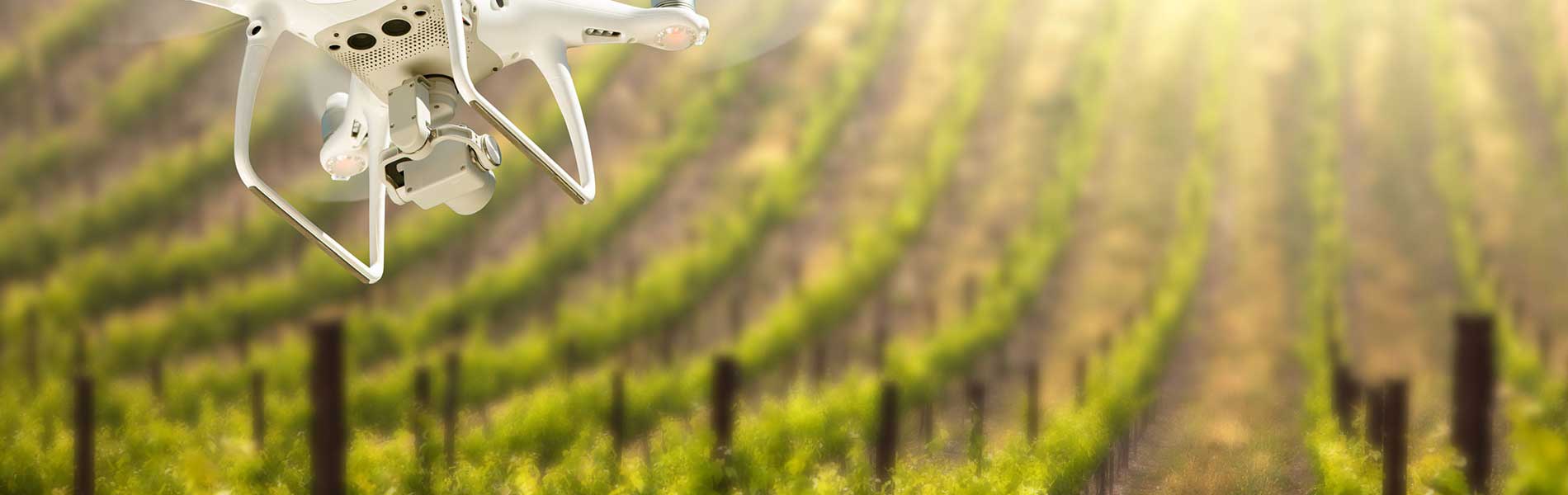 Photos et vidéos mariage par drone