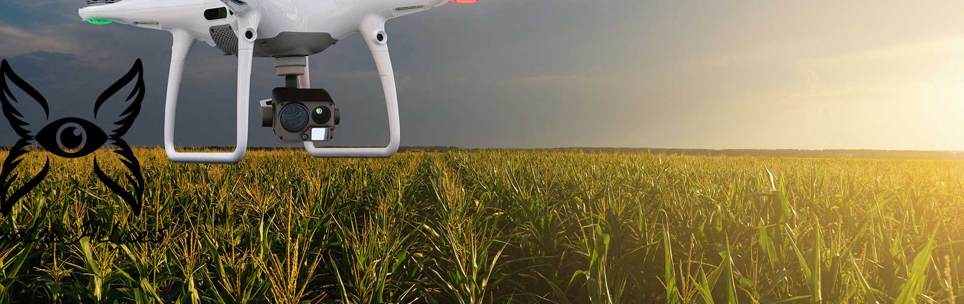 Mariage par drone