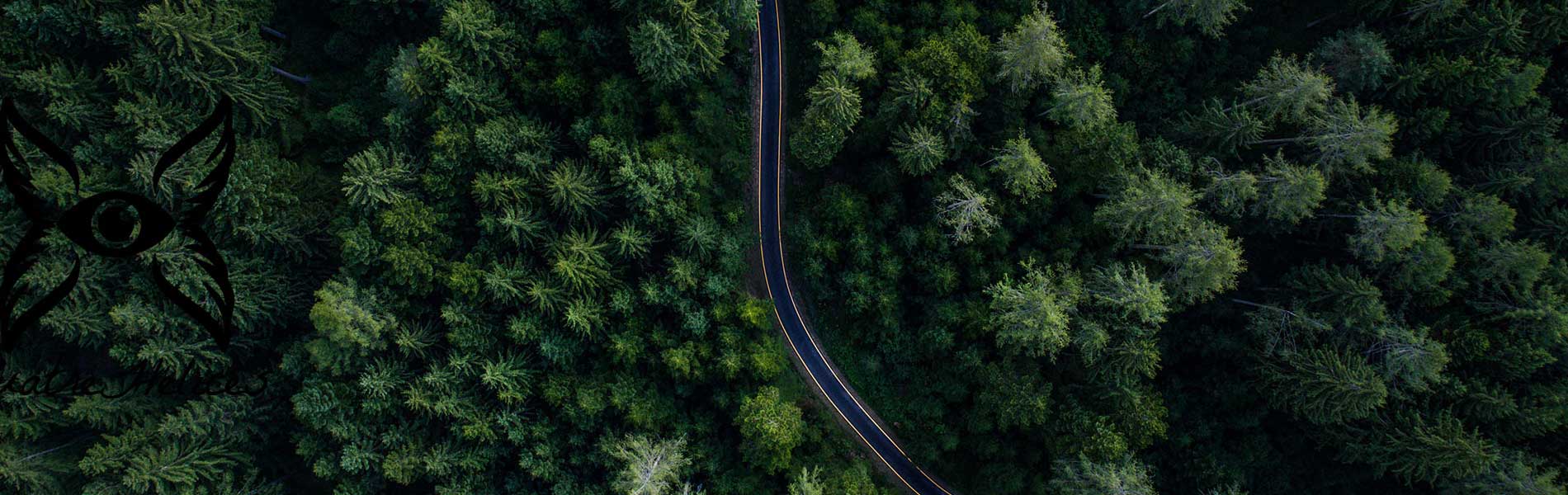Mariage par drone