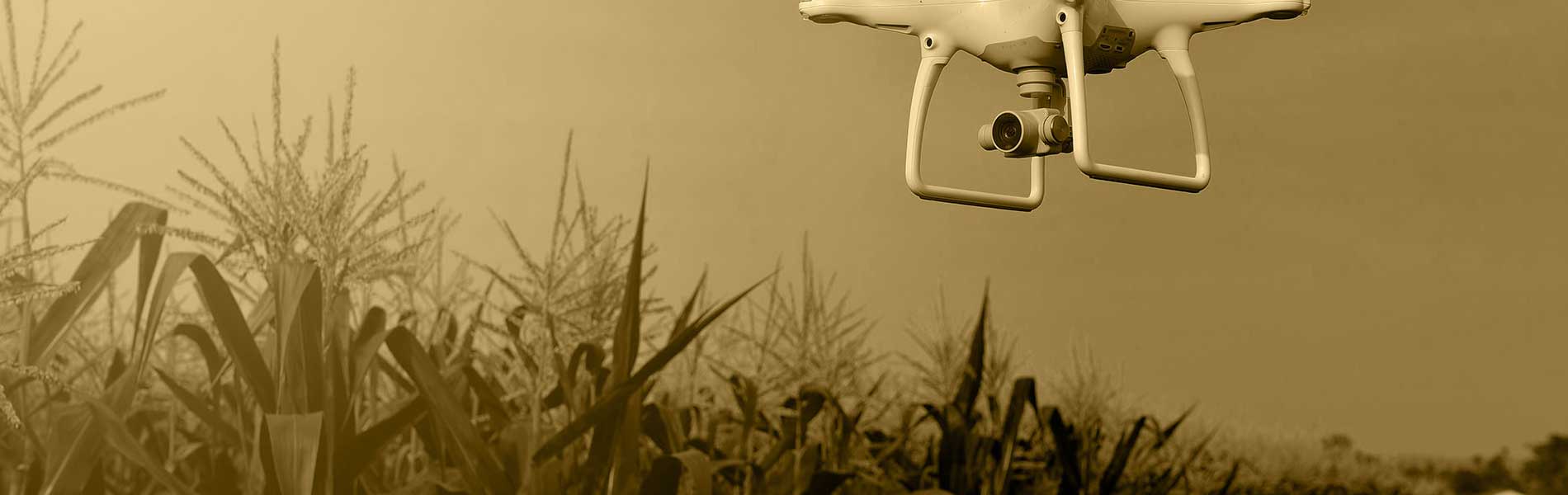 Prix drone mariage
