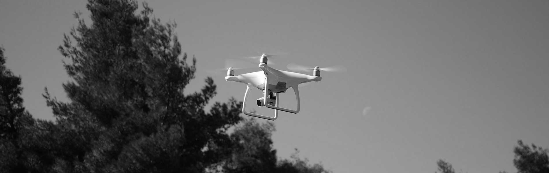 Prestation drone mariage