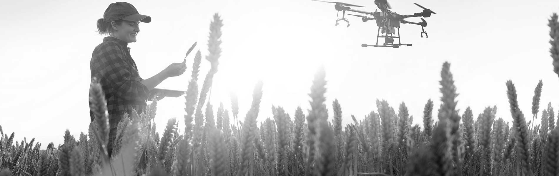 Video drone mariage