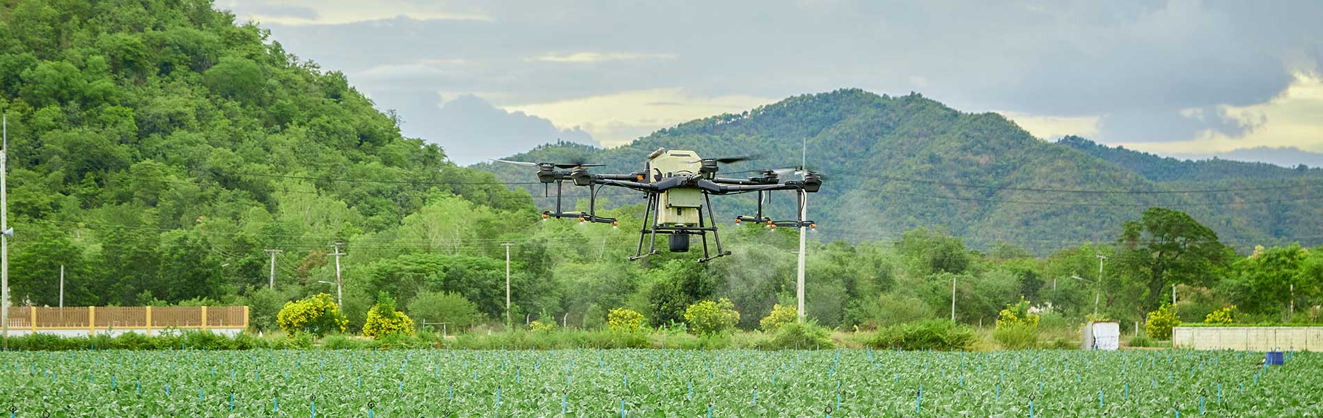 Prise de vue drone mariage