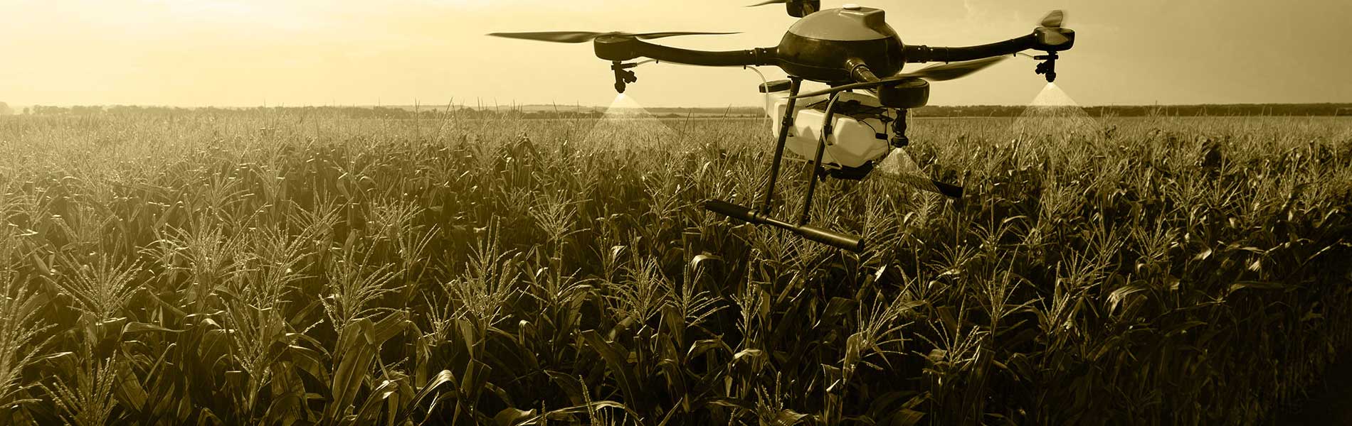 Film drone mariage