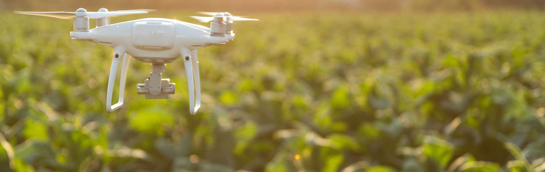Location drone mariage