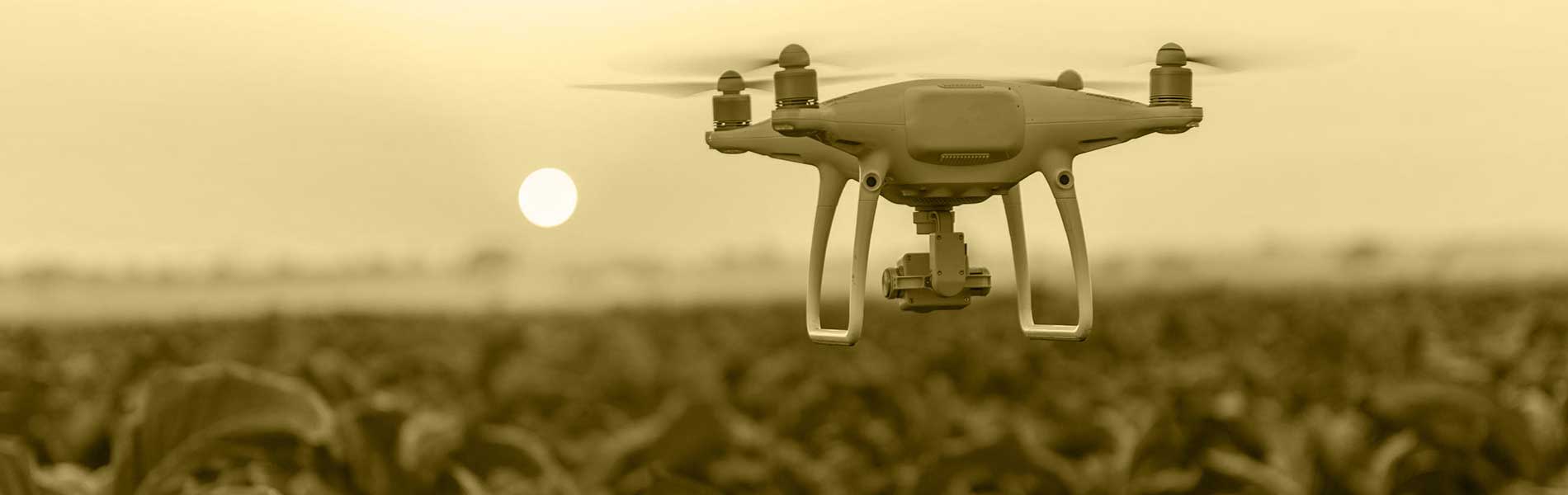 Prix drone mariage