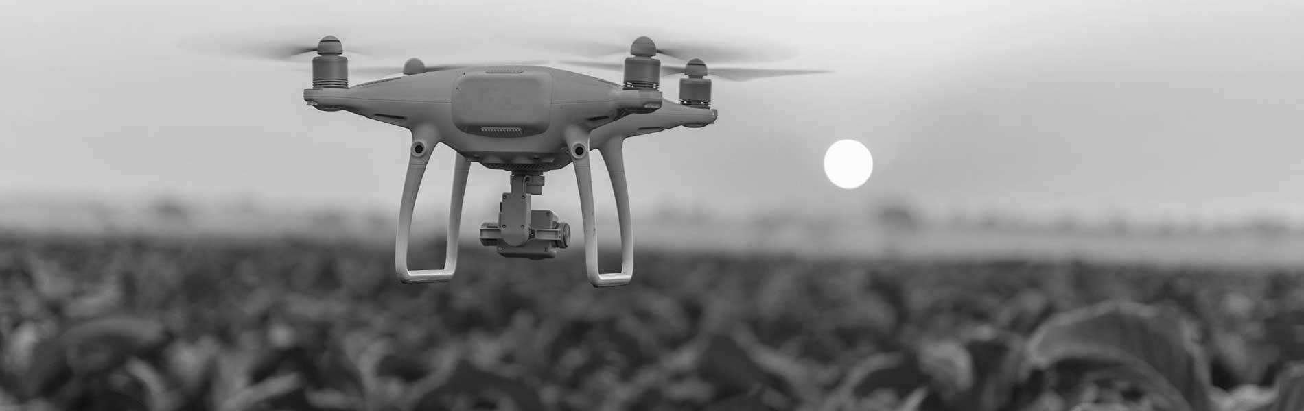 Photo mariage drone