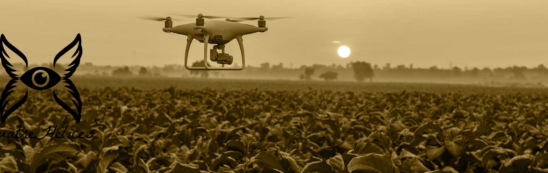 Mariage filmé par drone