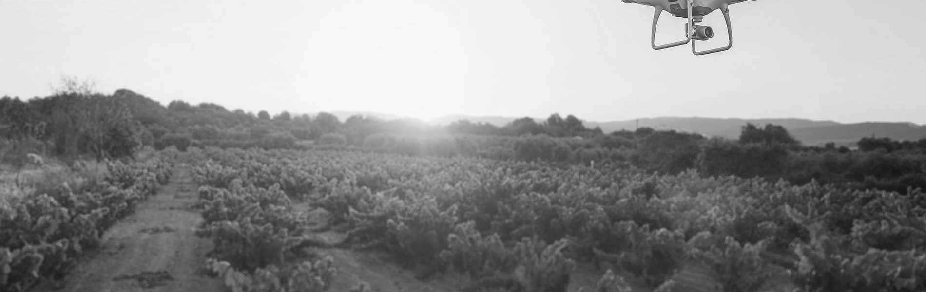 Drone professionnel mariage