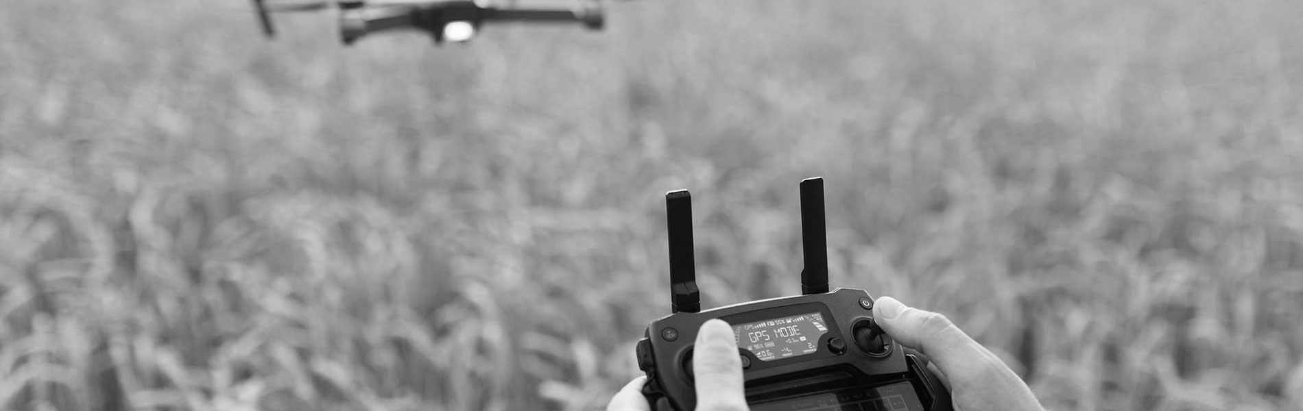 Film drone mariage