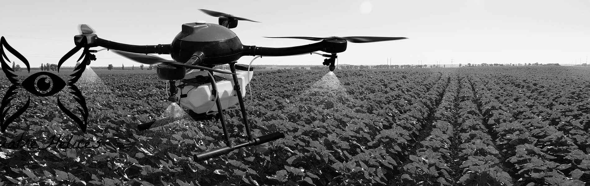 Drone+pilote