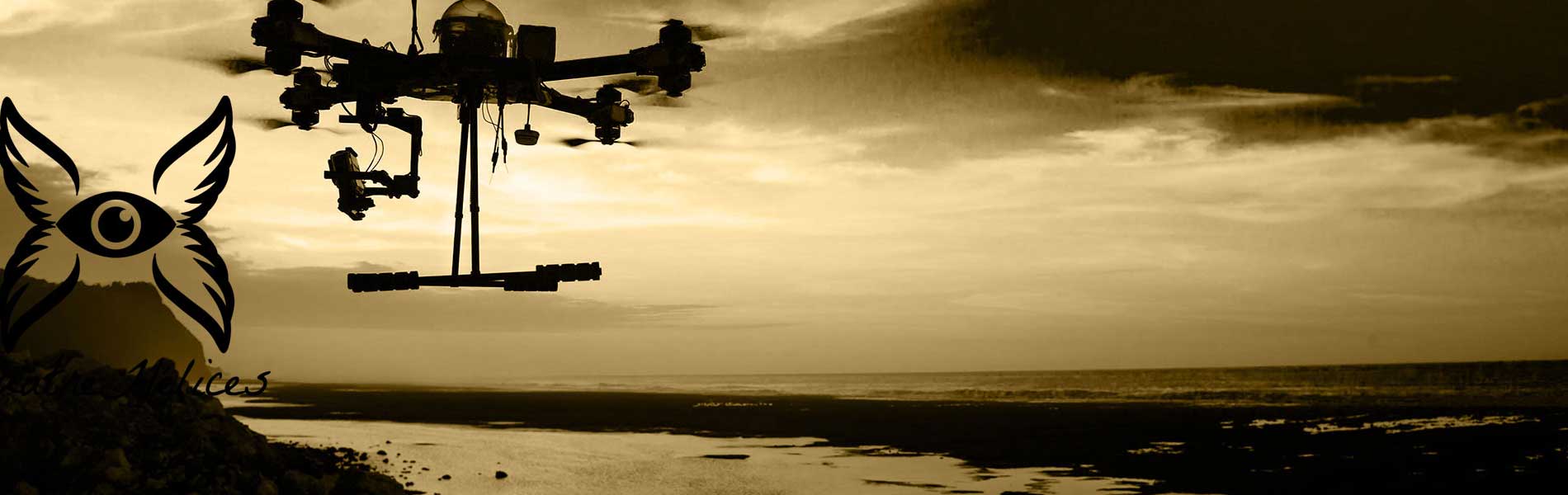 Drone+pilote