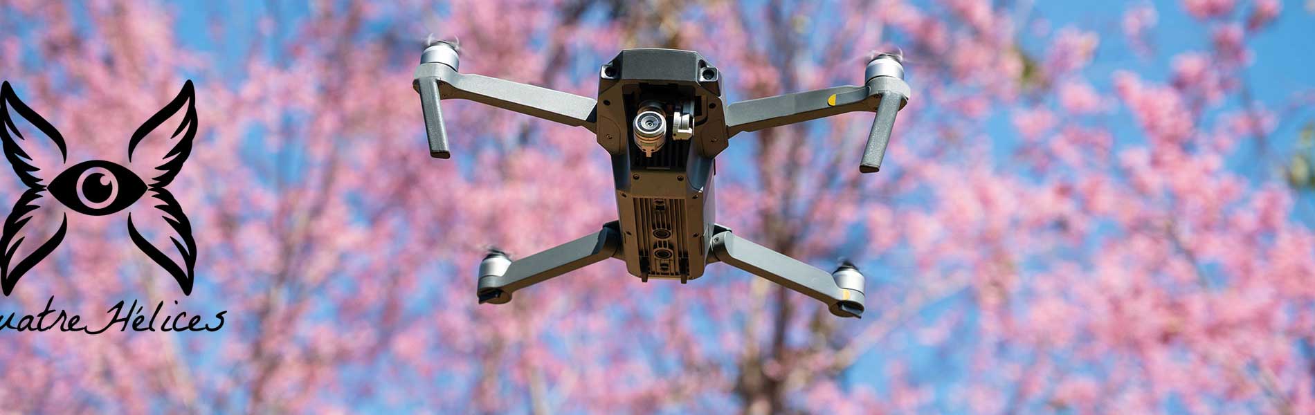 Drone+pilote