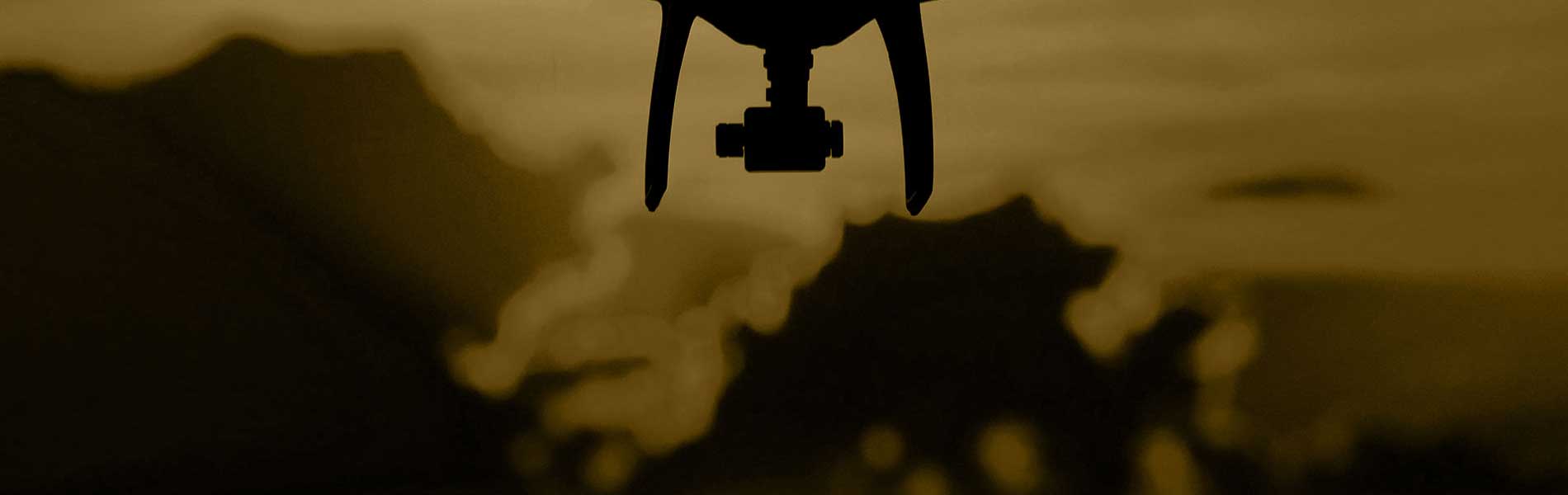 Pilote drone professionnel