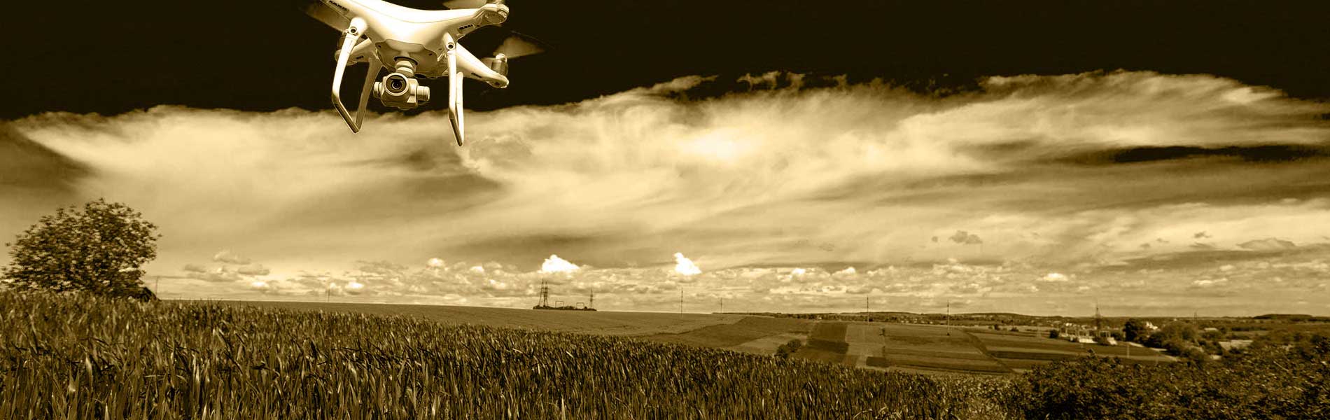 Pilote drone professionnel
