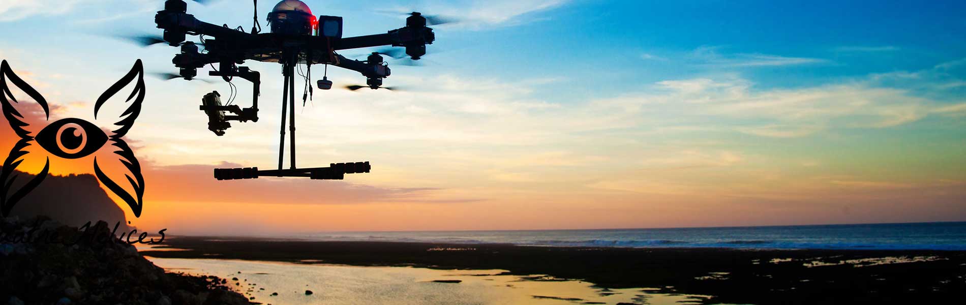 Pilote de drone