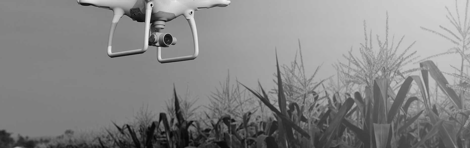 Tarif pilote de drone
