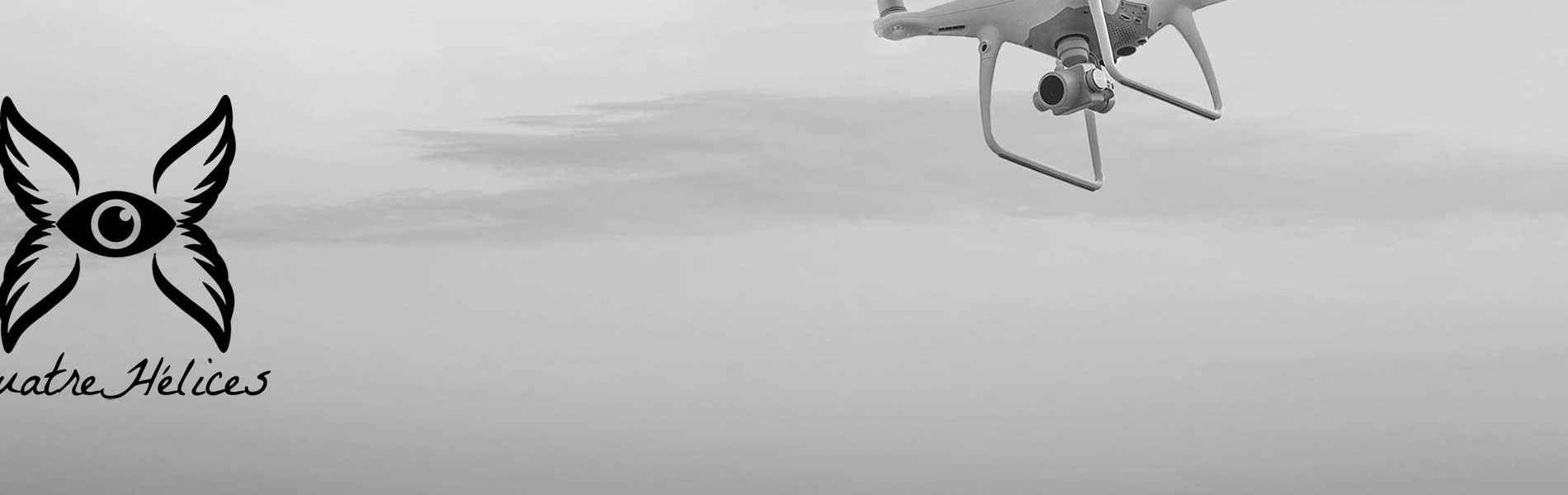 Pilote de drone