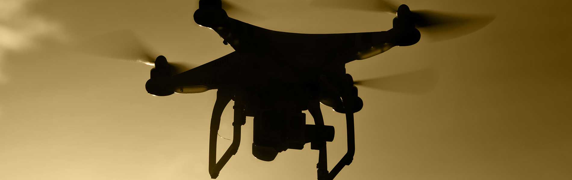 Drone+pilote