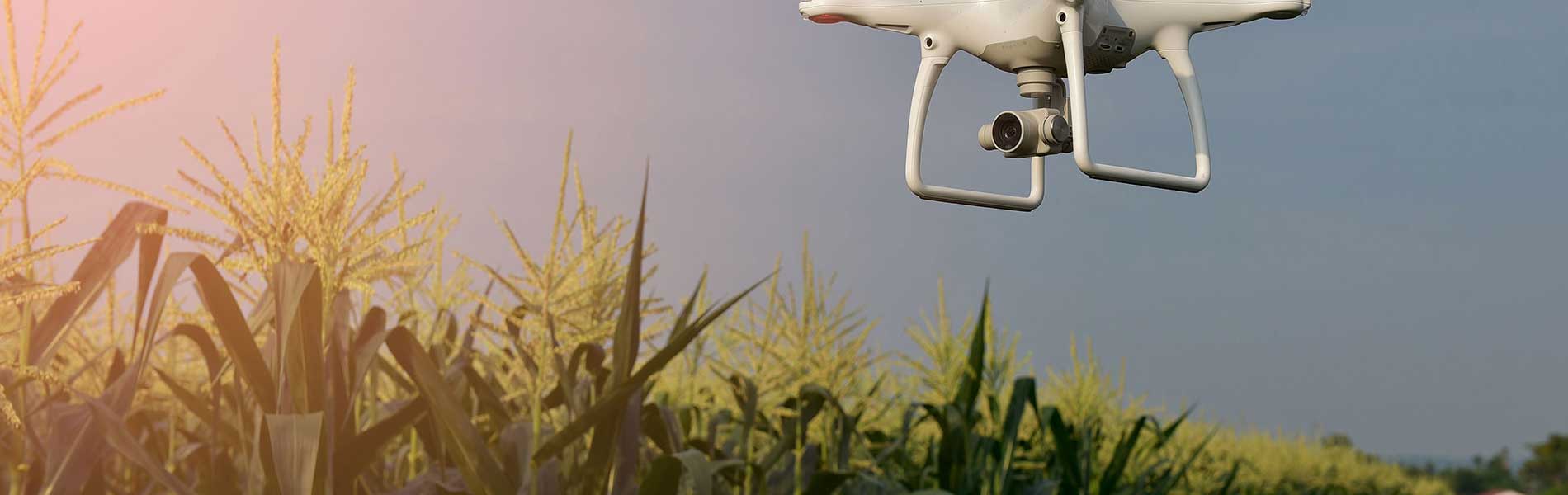 Film drone