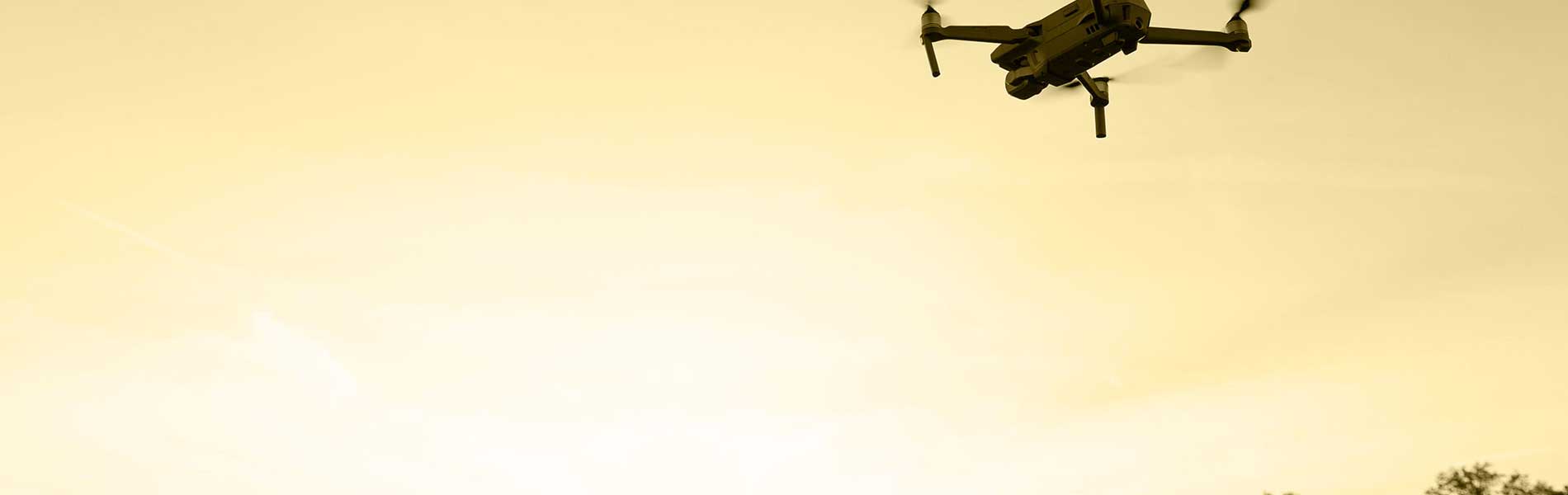 Drone+pilote