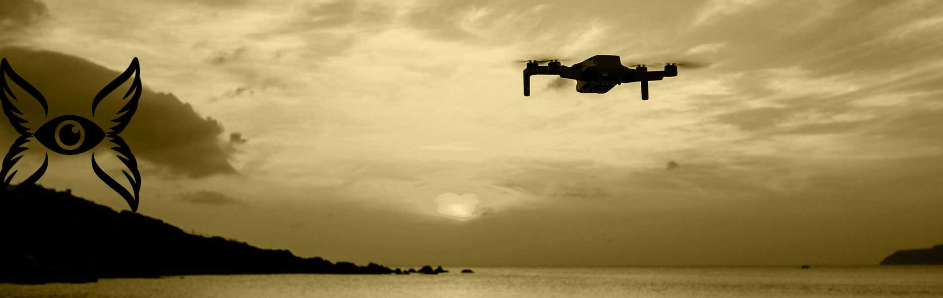 Licence pilote de drone
