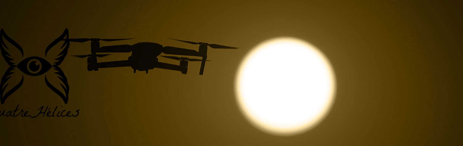 Drone+pilote