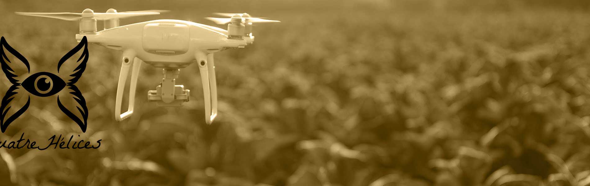 Recherche pilote de drone