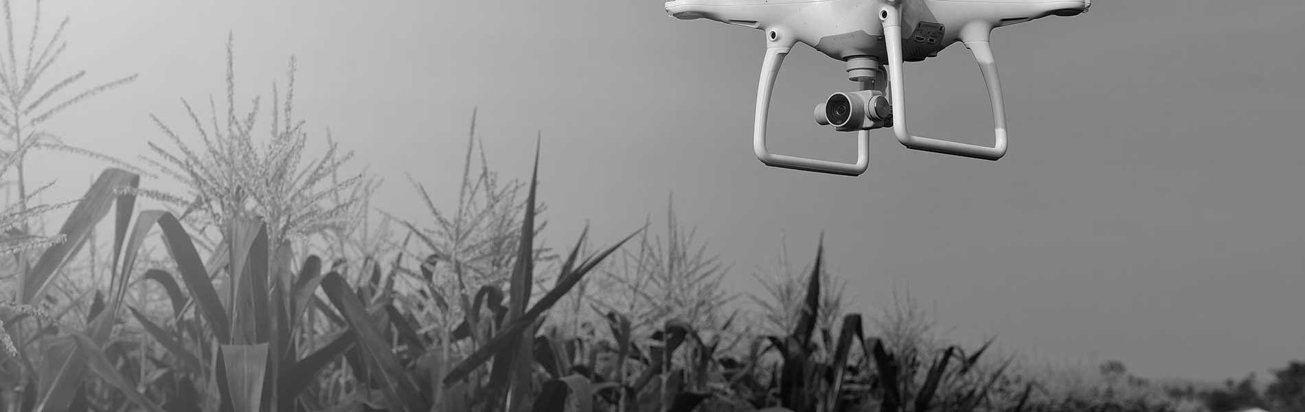 Opérateur drone