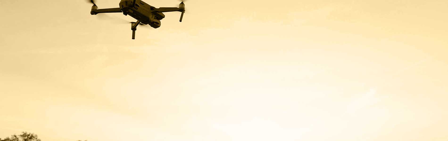Drone+pilote