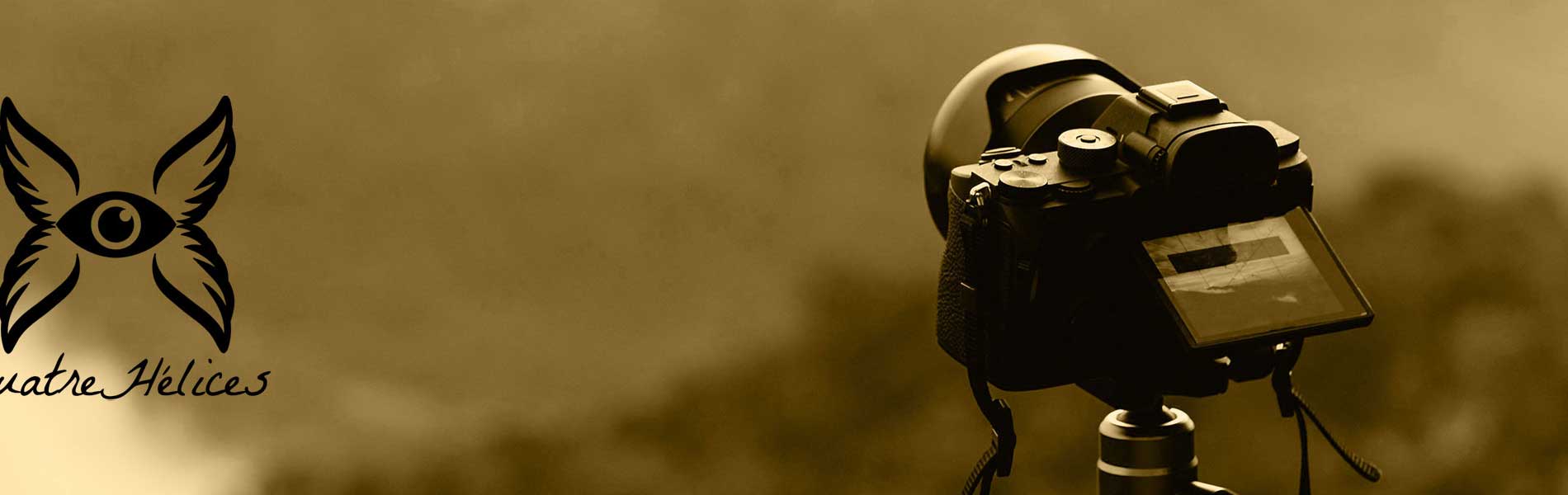 Licence pilote de drone