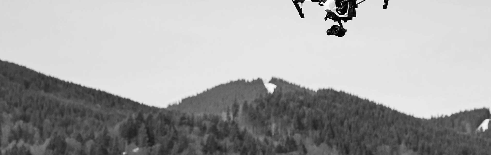 Telepilote de drone
