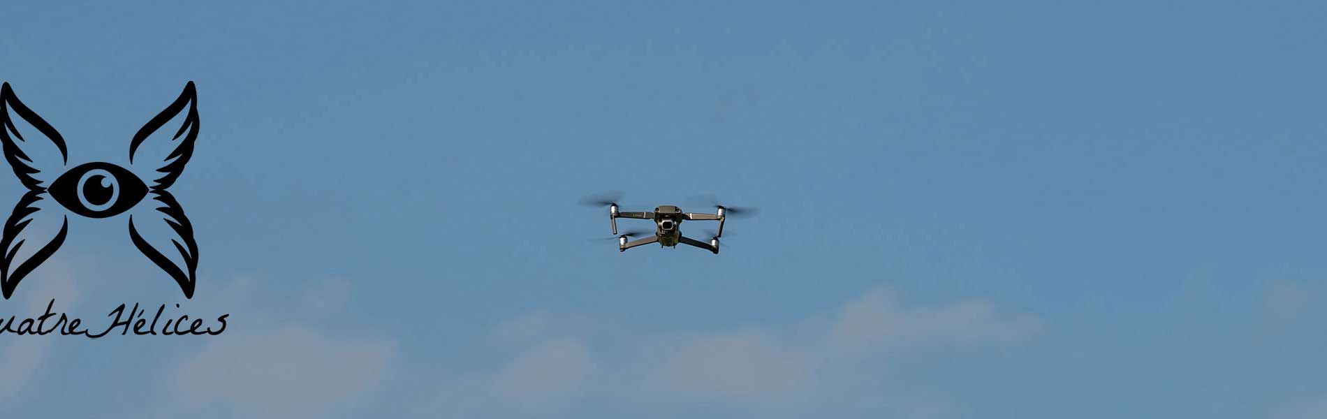 Telepilote de drone