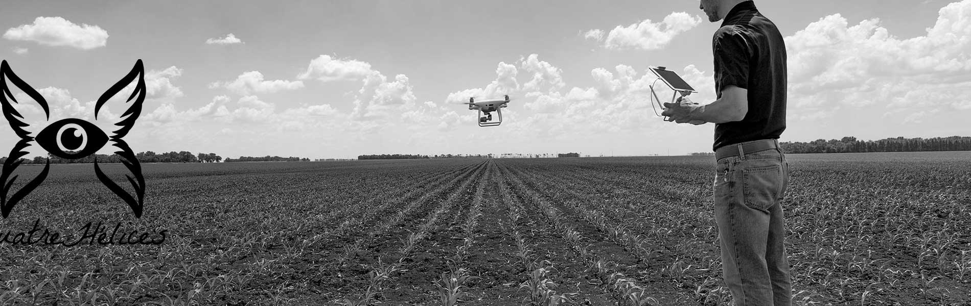 Telepilote de drone