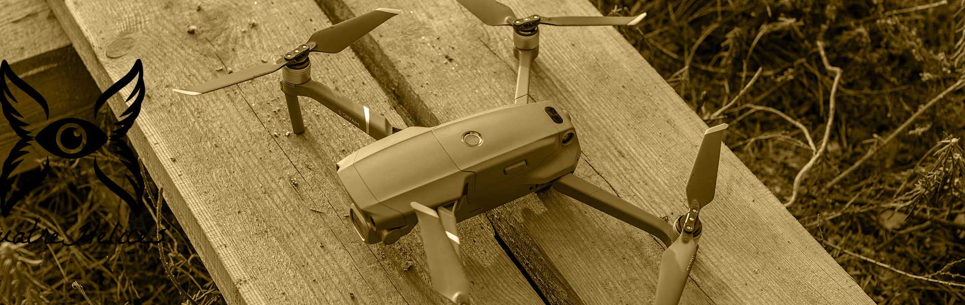 Videaste drone