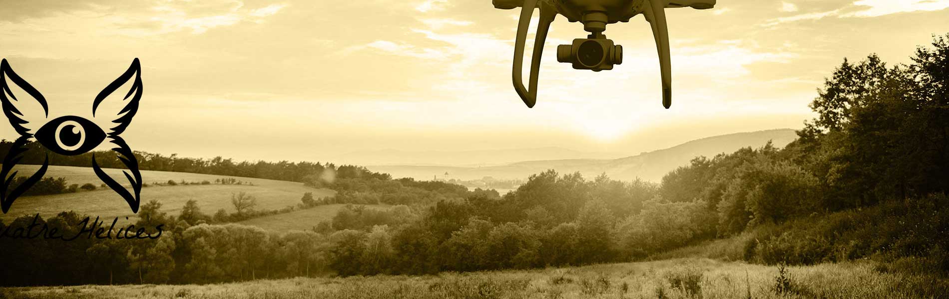 Recherche pilote de drone