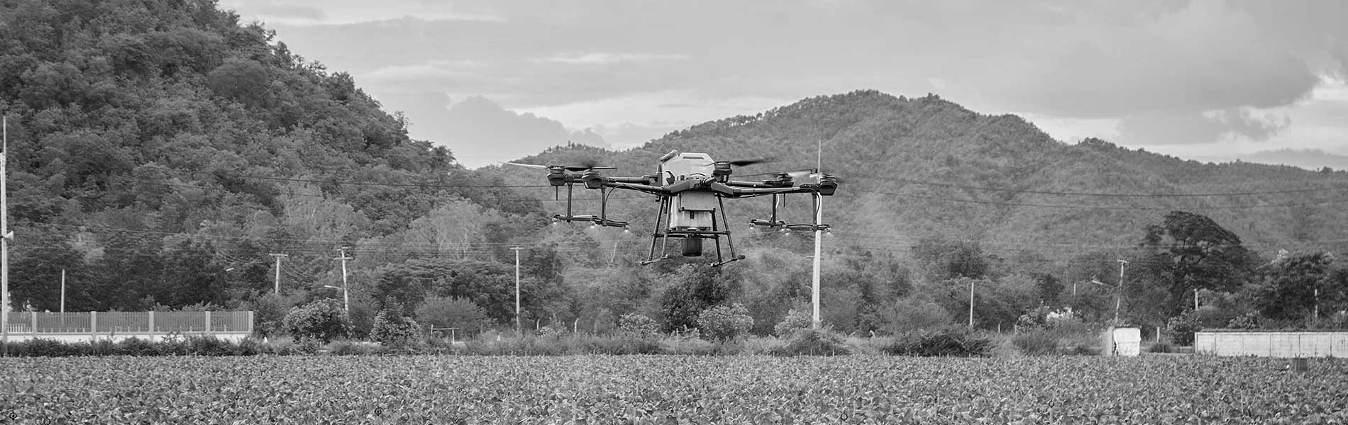Telepilote de drone