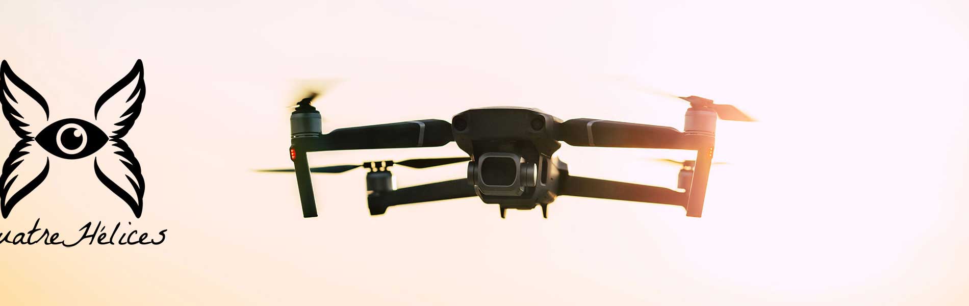 Telepilote de drone