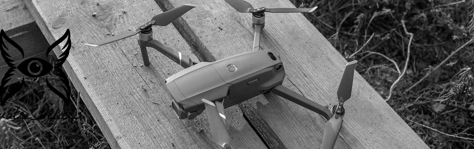 Drone+pilote