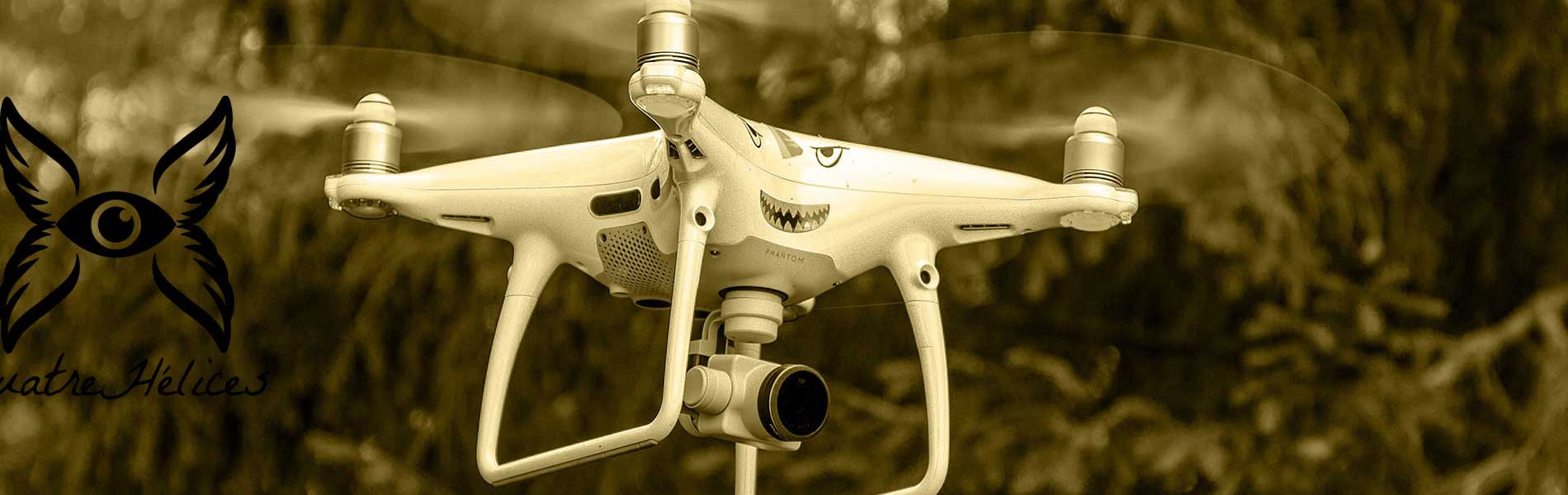 Pilote drone professionnel