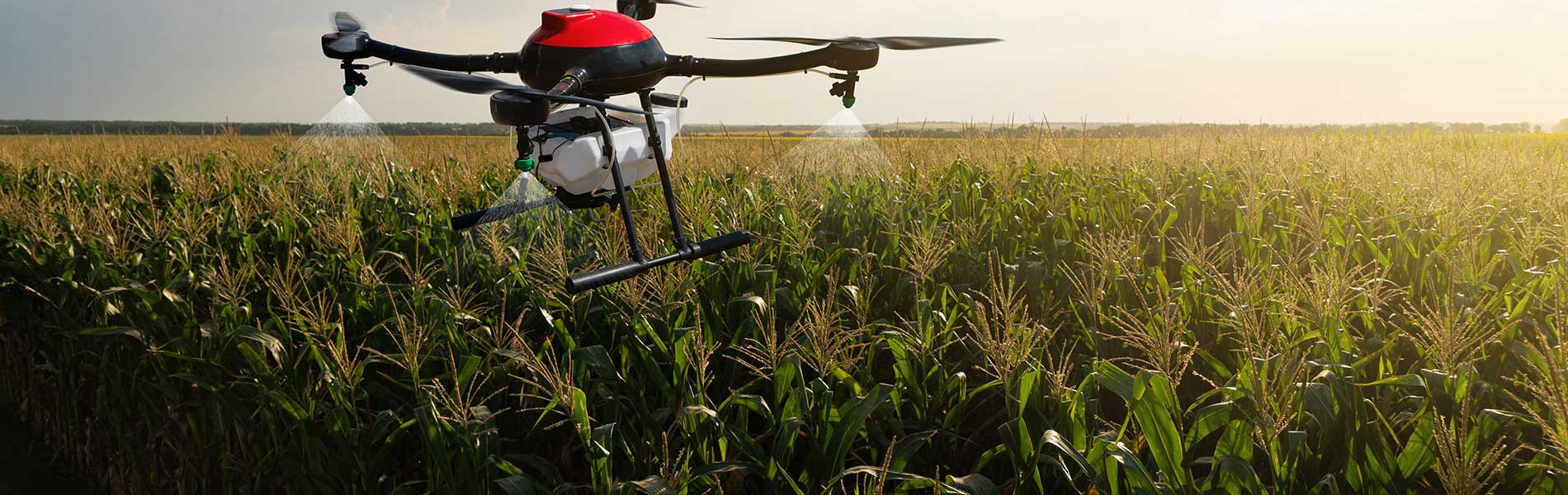 Licence pilote de drone