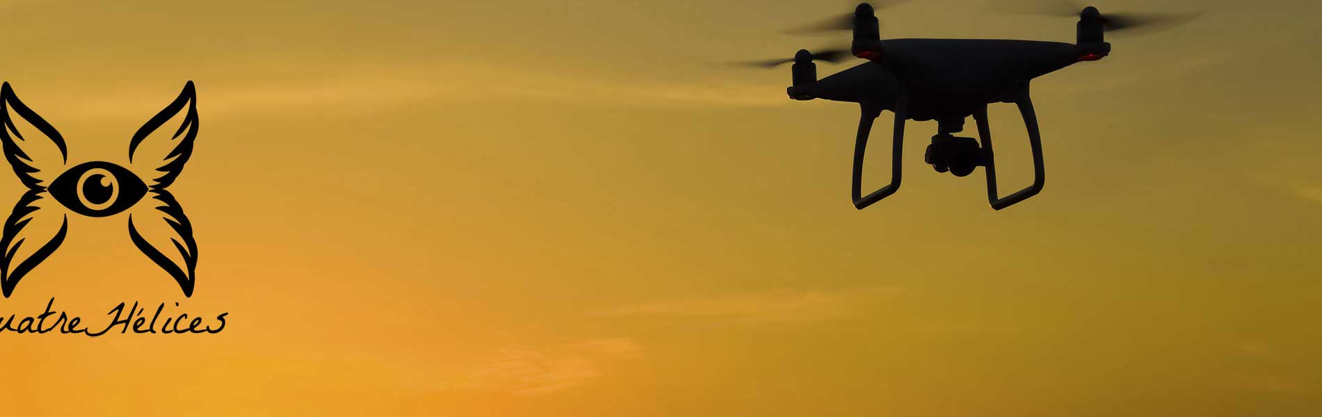 Recherche pilote de drone
