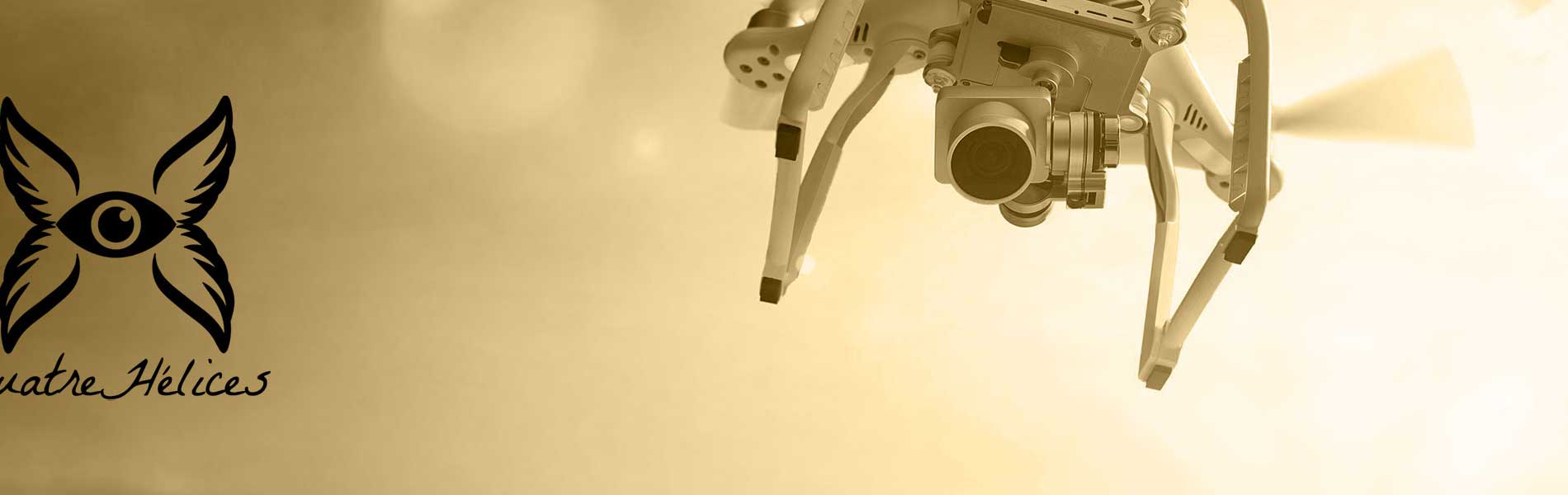 Telepilote de drone