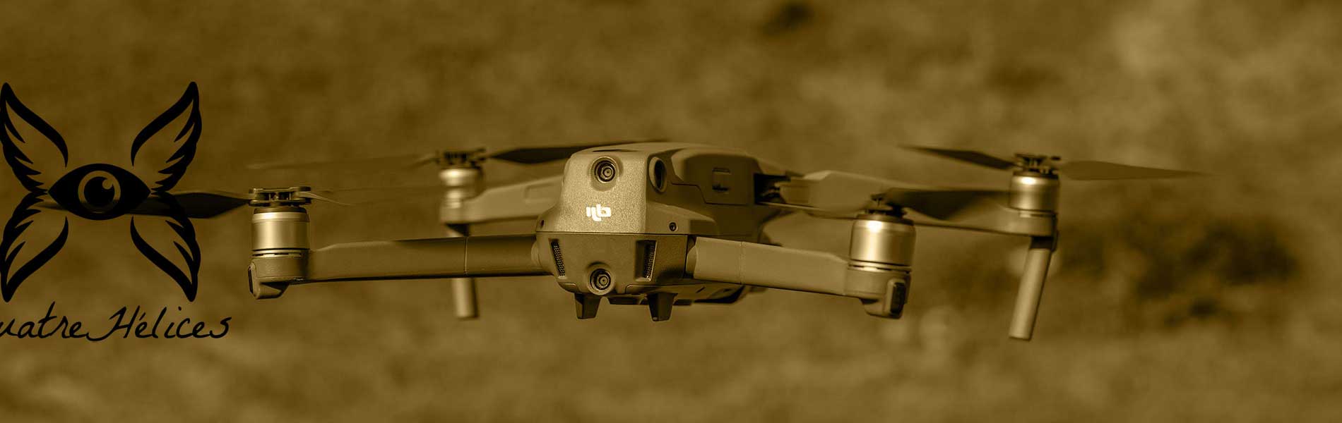 Telepilote de drone