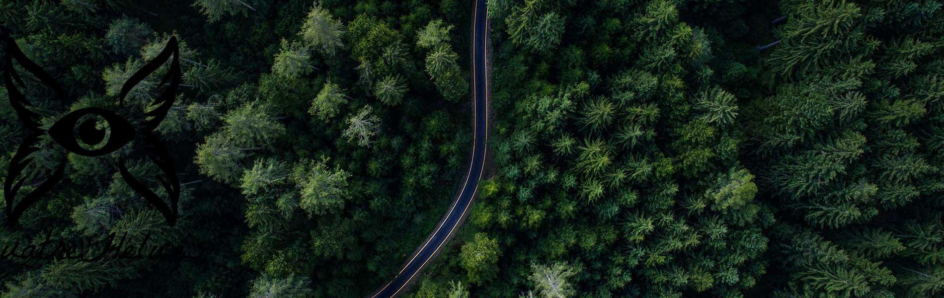 Recherche pilote de drone