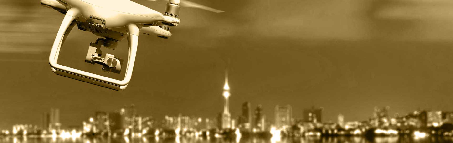 Telepilote de drone