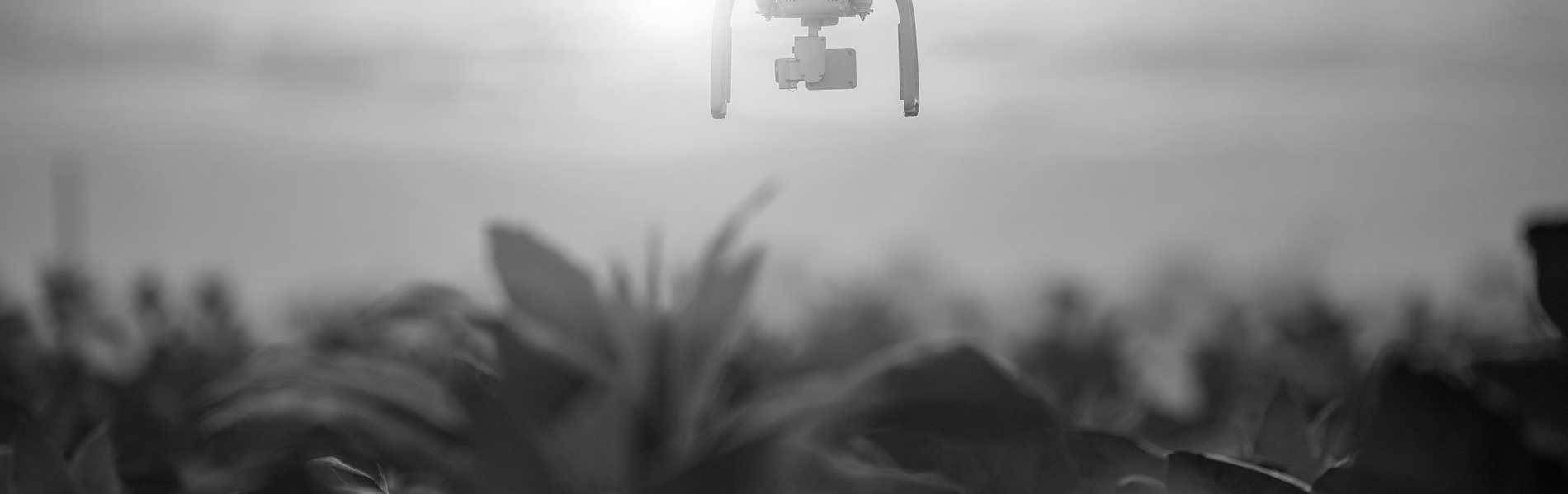 Exploitant drone